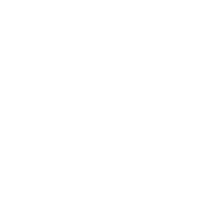 11.png