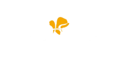 nunez-comprimido.webp